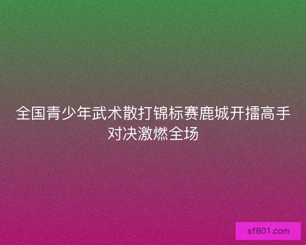 全国青少年武术散打锦标赛鹿城开擂高手对决激燃全场